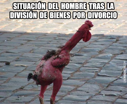 memes de divorcio5