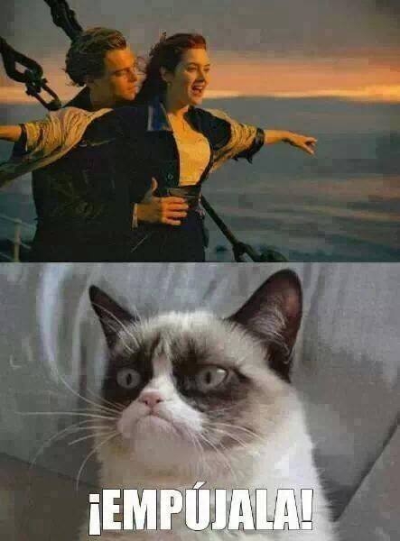 memes de grumpy cat9