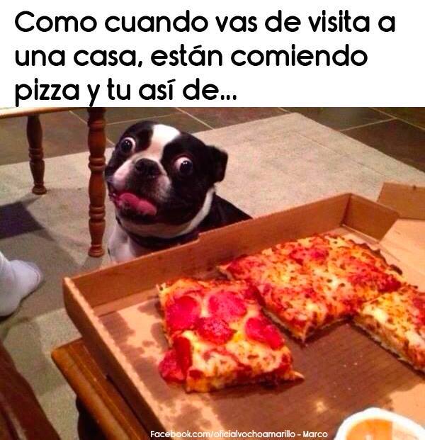 memes de pizza14