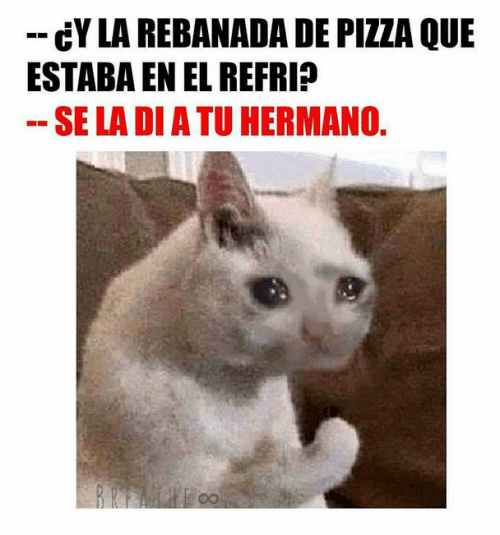 memes de pizza29