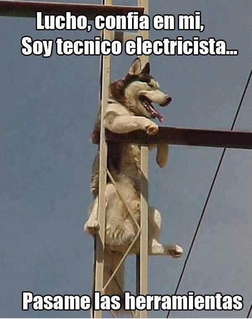 memes-de-electricistas-lucho-perro