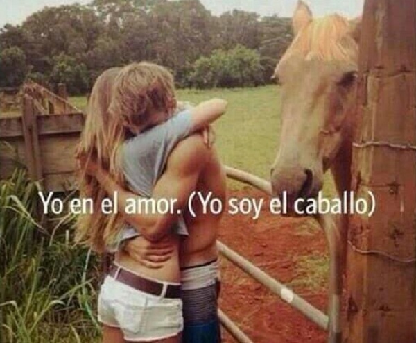 memes-de-yo-en-el-amor-en-el-amor-soy-el-caballo